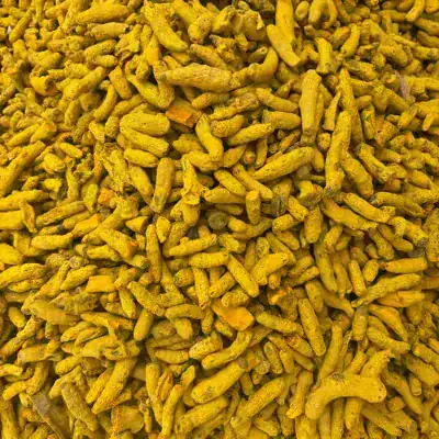 Dried turmeric fingers – premium export grade India, from Agmark-certified supply